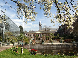 Hortus Botanicus Leiden