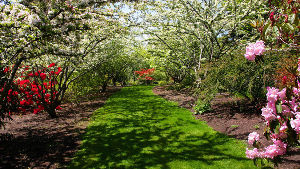 Darts Hill Garden Park