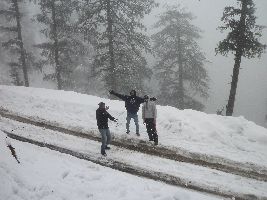 Trekking in Dehradun