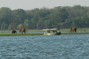 Kabini River Lodge
