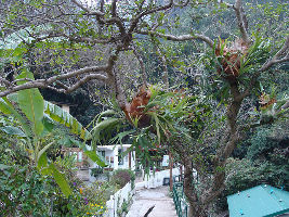Kadoorie Farm and Botanic Garden