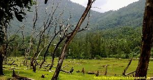 Kakkayam