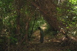 Bird Watching Expeditions