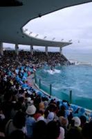 Kamogawa Sea World