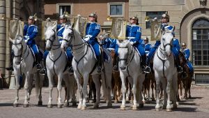 Stand straight for the Changing of the Guard