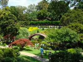 The Huntington Japanese Garden 