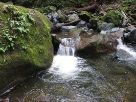 Sugarloaf Ridge State Park