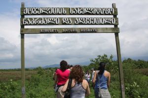 Kobuleti Strict Nature Reserve