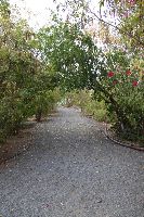 Hindolgadh Nature Education Sanctuary 