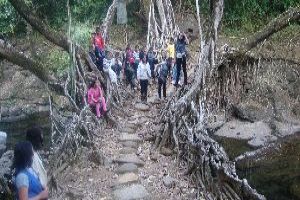 Walk Across the Living Root Bridge