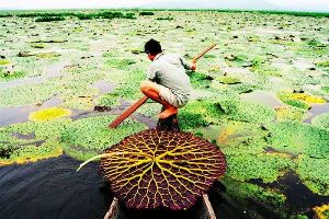 The Floating Lake of Loktak