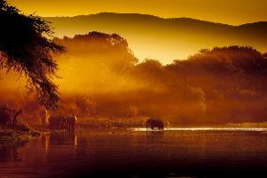 Amazing Zambia Tour Package for 5 Days 4 Nights from Lusaka, Zambia