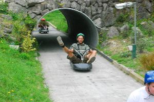 Go Speeding In Skyline Luge