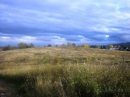 Moores Meadow Nature Park