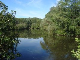 Pettoranello Gardens 