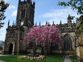 Manchester Cathedral