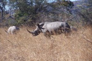 Matobo National Park