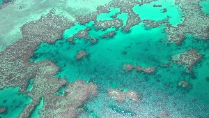 Unveiling Australia's Vacation