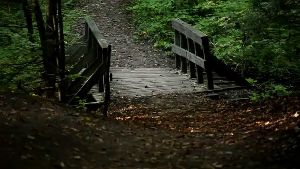 Stephen s Gulch Conservation Area 