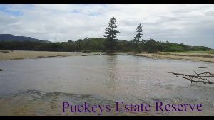 Puckeys Estate Reserve 