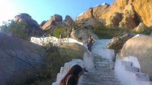 Monkey Temple