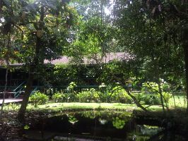 Mulu World Heritage Area