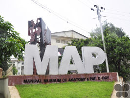 Museum of Anatomy & Pathology