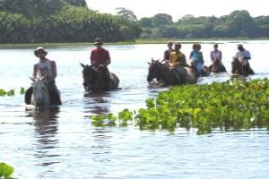 Explore The Mystical Amazons