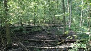 Devonwood Conservation Area