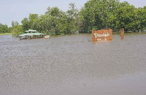 Dinsdale Park
