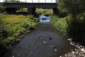 Beaverton Creek Wetlands Natural Area 