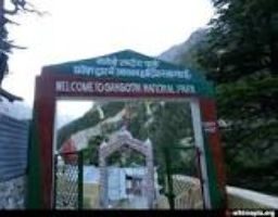 Gangotri National Park