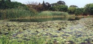 National Botanic Garden