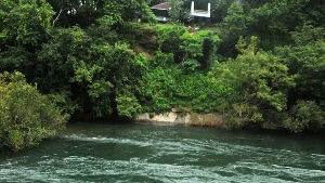 Nedumkayam