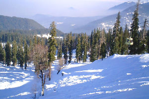 Ningli Nalla