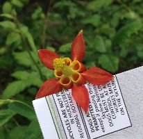  Huckleberry Botanic Regional Preserve