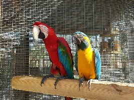 Bird Gardens of Naples
