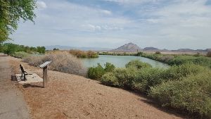 Henderson Bird Viewing Preserve