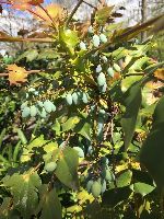 Fairytale Town, Sacramento