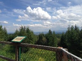 Forests for the World