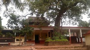 Pallikunnu