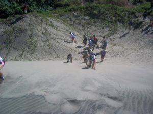 Sigatoka Sand Dunes
