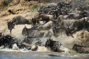 3 Day in Serengeti and Ngorongoro Crater Group camping