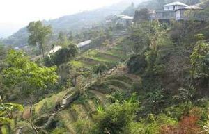 Phulpui Grave in vantawang 