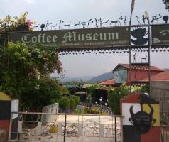 Coffee Museum