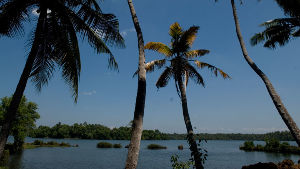 Ponnumthuruthu Island 