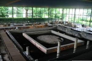 Vesunna Gallo-Roman Museum