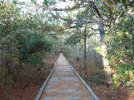 Currituck Banks North Carolina National Estuarine Research Reserve