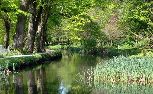 Bute Park 