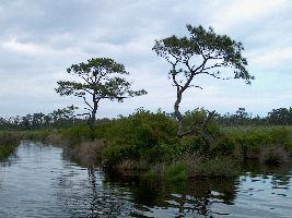 Currituck National Wildlife Refuge